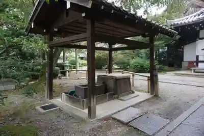 養源院の手水舎