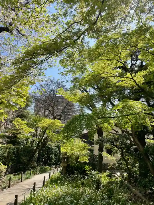 東福寺の{uncategorized: "未分類", other: "その他", undefined: "問題あり", building: "その他建物", grave: "お墓", sacred_gate: "鳥居", guardian: "狛犬", statue: "像", buddha: "仏像", history: "歴史", nature: "自然", garden: "庭園", animal: "動物", pagoda: "塔", temizu: "手水舎", mountain_gate: "山門・神門", sanctuary: "本殿・本堂", subordinate: "末社・摂社", art: "芸術", scenery: "景色", jizo: "地蔵", ema: "絵馬", goshuin: "御朱印", omikuji: "おみくじ", items: "授与品その他", amulet: "お守り", goshuincho: "御朱印帳", eats: "食事", festival: "お祭り", votive_dance: "神楽", shichigosan: "七五三参", wedding: "結婚式", experience: "体験その他", initially: "初詣", around: "周辺", anti_infection: "感染症対策"}
