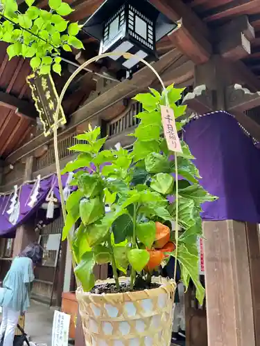 愛宕神社の庭園