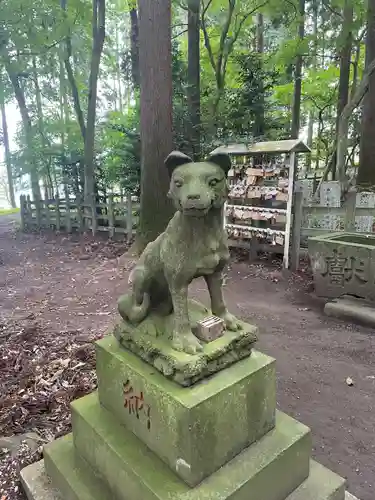 宝登山神社奥宮(埼玉県)