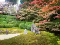 光明院(光明禅院)(京都府)