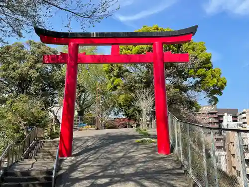 （芝生）浅間神社の鳥居