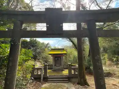 金比羅神社(徳島県)