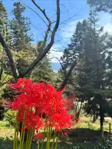 蚊里田八幡宮(長野県)(2025年09月30日(火) 12時50分32秒投稿)