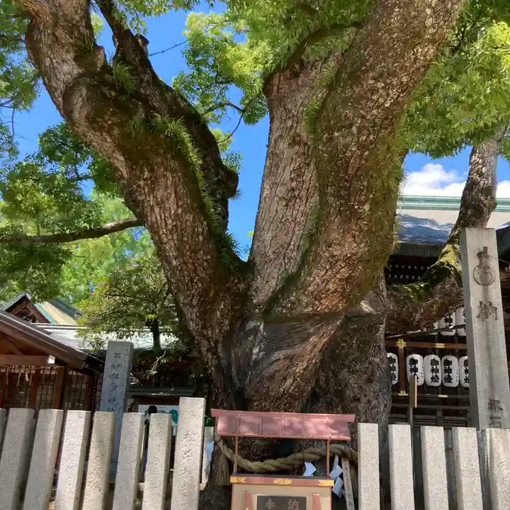 石切劔箭神社(大阪府)