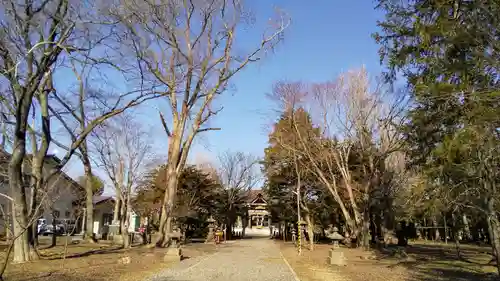 南幌神社の自然