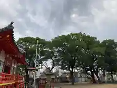 粟津天満神社の自然