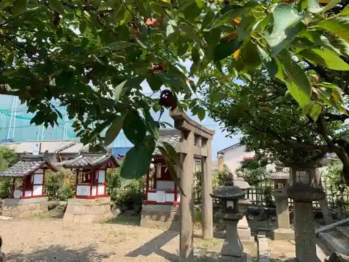 春日神社の鳥居