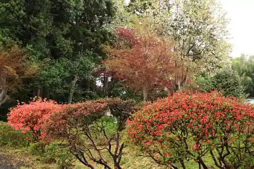 豊景神社の庭園