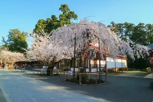 志波彦神社・鹽竈神社の庭園