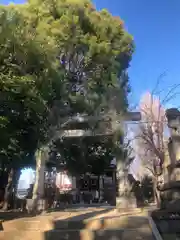 諏訪神社(東京都)