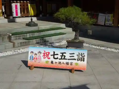 亀ケ池八幡宮の七五三参