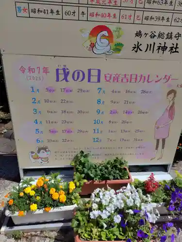 鳩ヶ谷氷川神社(埼玉県)