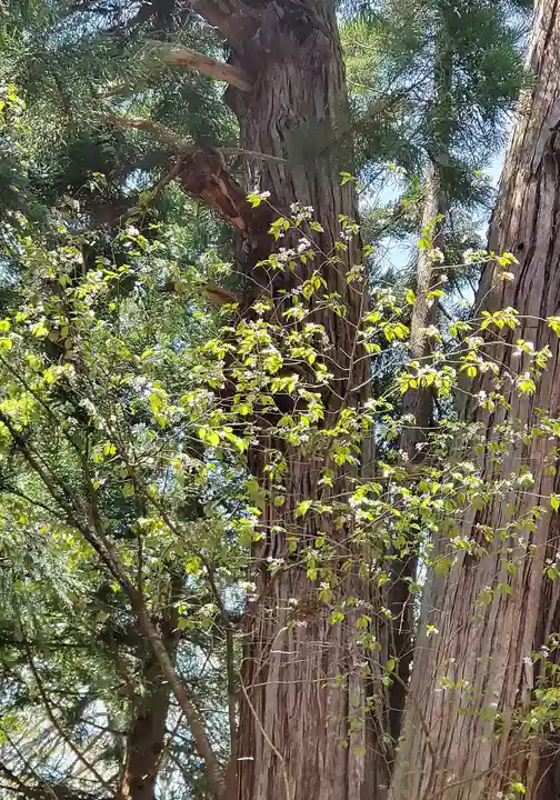 磐椅神社(福島県)