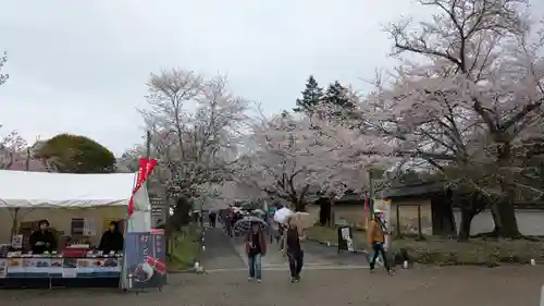 醍醐寺(京都府)