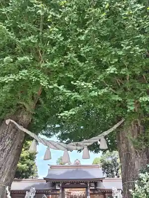 亀ケ池八幡宮(神奈川県)