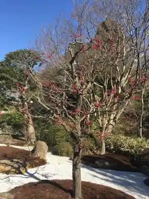 浄妙寺(神奈川県)