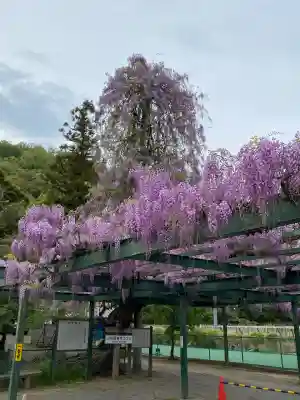 山梨岡神社(山梨県)