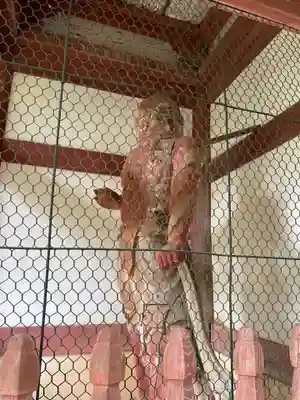 勝持寺（花の寺）(京都府)