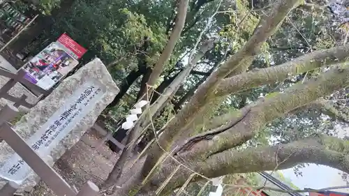 賀茂御祖神社（下鴨神社）(京都府)