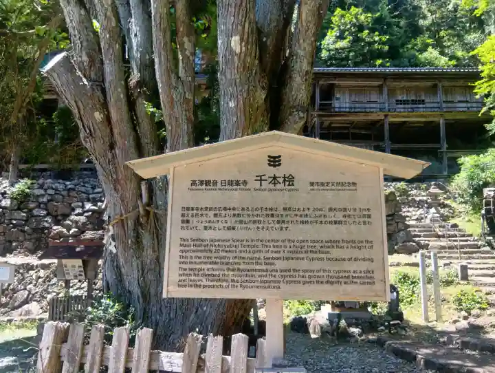 日龍峯寺(高澤観音)(美濃清水)の{uncategorized: "未分類", other: "その他", undefined: "問題あり", building: "その他建物", grave: "お墓", sacred_gate: "鳥居", guardian: "狛犬", statue: "像", buddha: "仏像", history: "歴史", nature: "自然", garden: "庭園", animal: "動物", pagoda: "塔", temizu: "手水舎", mountain_gate: "山門・神門", sanctuary: "本殿・本堂", subordinate: "末社・摂社", art: "芸術", scenery: "景色", jizo: "地蔵", ema: "絵馬", goshuin: "御朱印", omikuji: "おみくじ", items: "授与品その他", amulet: "お守り", goshuincho: "御朱印帳", eats: "食事", festival: "お祭り", votive_dance: "神楽", shichigosan: "七五三参", wedding: "結婚式", experience: "体験その他", initially: "初詣", around: "周辺", anti_infection: "感染症対策"}