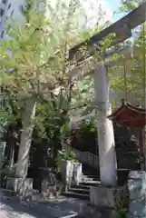 雉子神社の鳥居