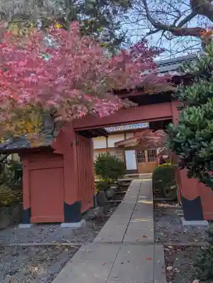 豪徳寺(東京都)