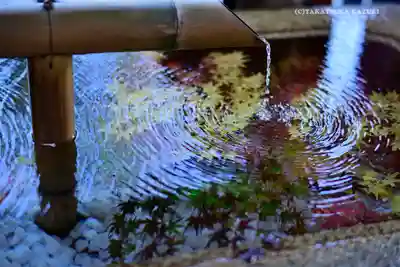 鶴岡八幡宮の手水舎