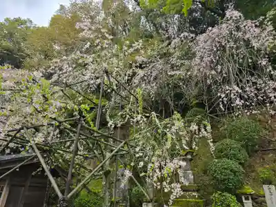 慈尊院(和歌山県)