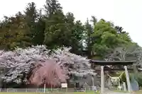 田村神社の鳥居