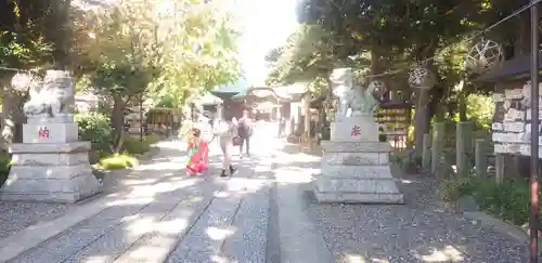 菊田神社の狛犬