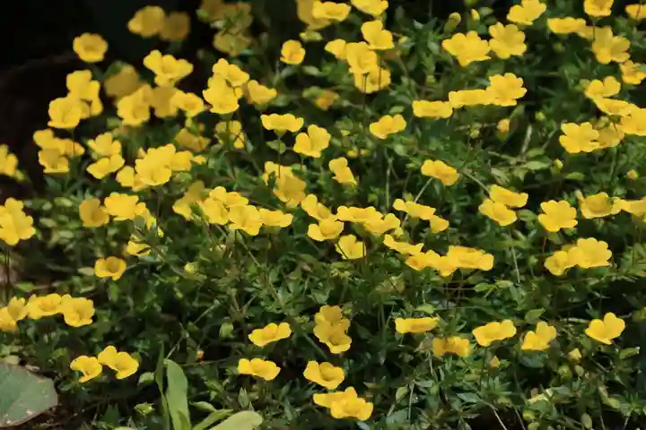 大鏑神社の庭園