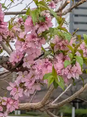 熊野神社(東京都)