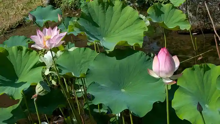 智積院(京都府)
