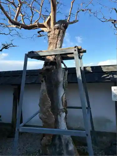 臨渓院(愛知県)