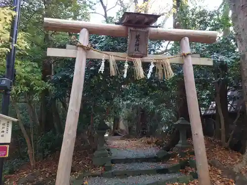 彌彦神社の鳥居