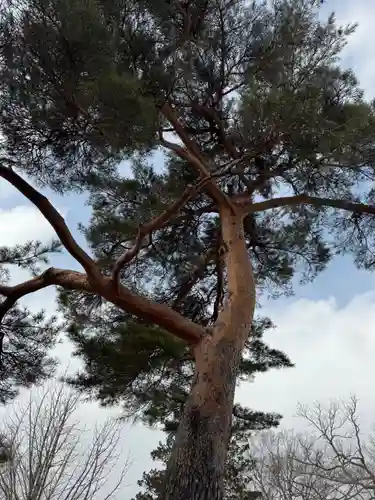 厚真神社(北海道)
