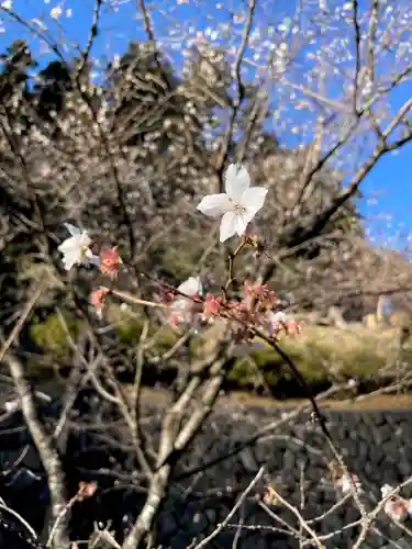 妙義神社(群馬県)