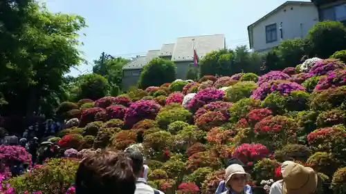 根津神社の庭園