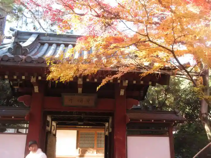 本土寺(千葉県)