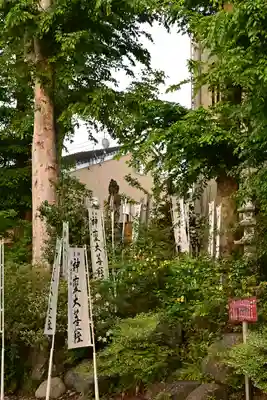 秩父今宮神社(埼玉県)
