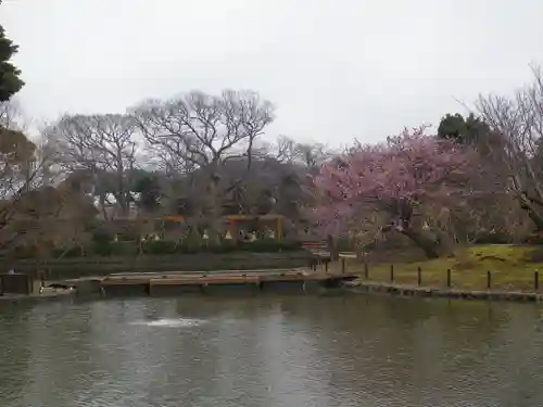 鶴岡八幡宮の庭園