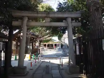 荻窪白山神社の鳥居