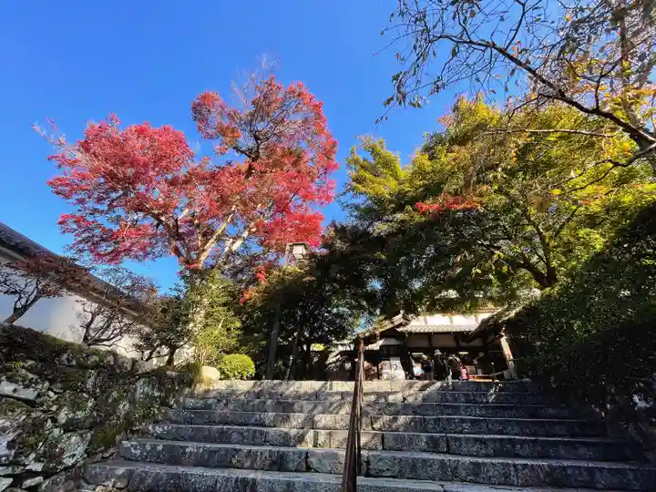 三千院門跡(京都府)