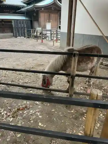平塚八幡宮の{uncategorized: "未分類", other: "その他", undefined: "問題あり", building: "その他建物", grave: "お墓", sacred_gate: "鳥居", guardian: "狛犬", statue: "像", buddha: "仏像", history: "歴史", nature: "自然", garden: "庭園", animal: "動物", pagoda: "塔", temizu: "手水舎", mountain_gate: "山門・神門", sanctuary: "本殿・本堂", subordinate: "末社・摂社", art: "芸術", scenery: "景色", jizo: "地蔵", ema: "絵馬", goshuin: "御朱印", omikuji: "おみくじ", items: "授与品その他", amulet: "お守り", goshuincho: "御朱印帳", eats: "食事", festival: "お祭り", votive_dance: "神楽", shichigosan: "七五三参", wedding: "結婚式", experience: "体験その他", initially: "初詣", around: "周辺", anti_infection: "感染症対策"}
