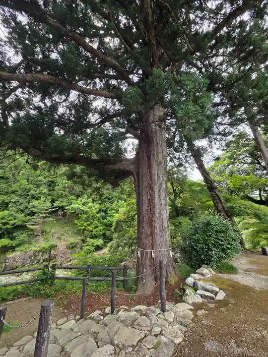 大瀧神社(滋賀県)