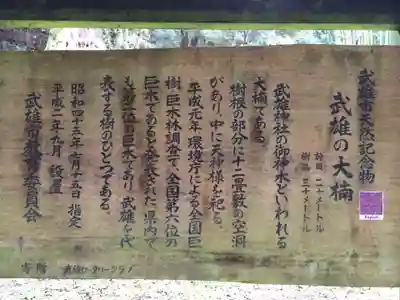 武雄神社(佐賀県)