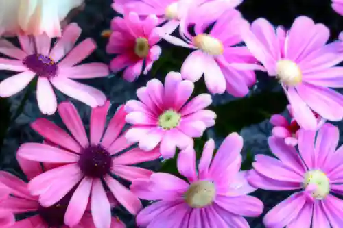 三津厳島神社の手水舎
