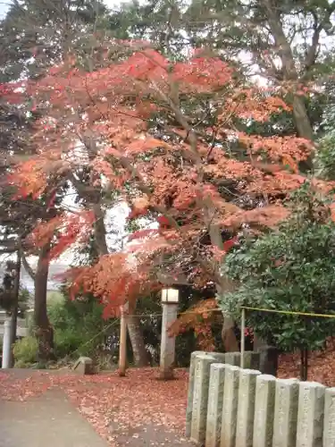 中氷川神社の自然
