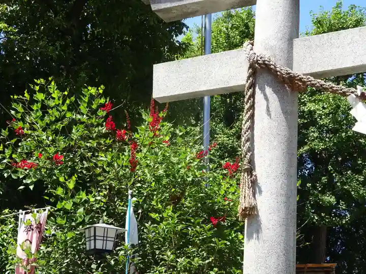 若宮八幡宮 の自然